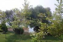 Hotel For Sale Kassandra Halkidiki  7