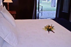 Rent Villa at Halkikidiki 9