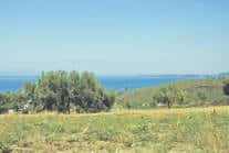 Land For Sale HAlkidiki Greece 2