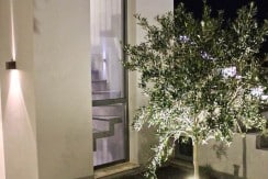 Luxury High Tec Lagonisi Attica 23