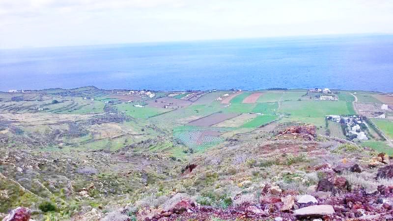 Land Finikia Oia Santorini