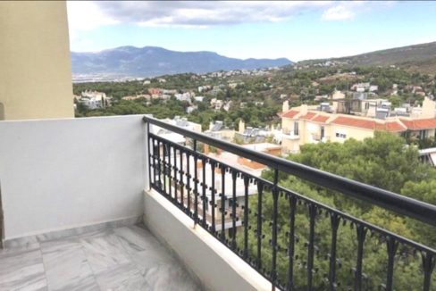 Apartment in Premium North Athens area, Melisia, Premium areas in Athens 6