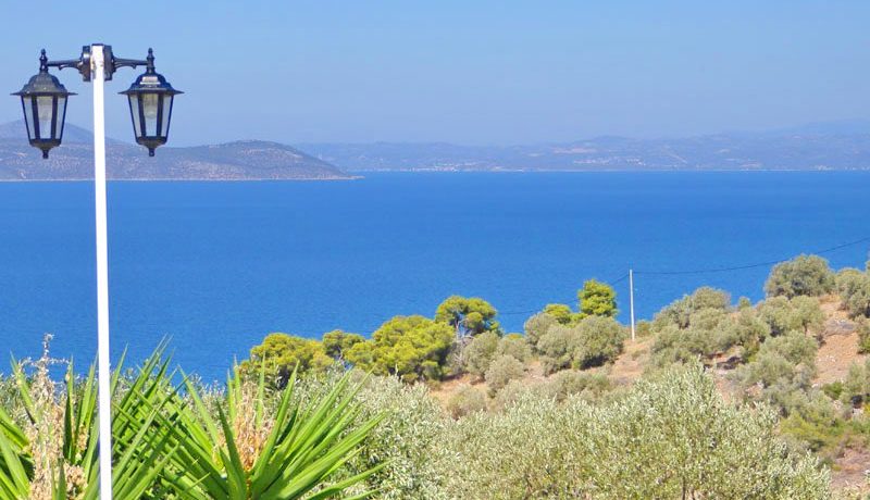 Hotel Marathonas Attica FOR SALE 2