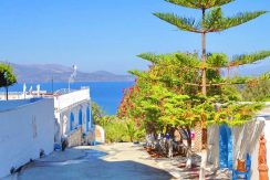 Hotel Marathonas Attica FOR SALE 7