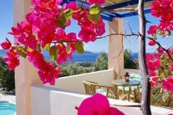 Skiathos Villa with Sea View 13