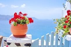 Caldera Hotel For Sale 1