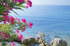 Villa Direct on the Sea at Corfu 36