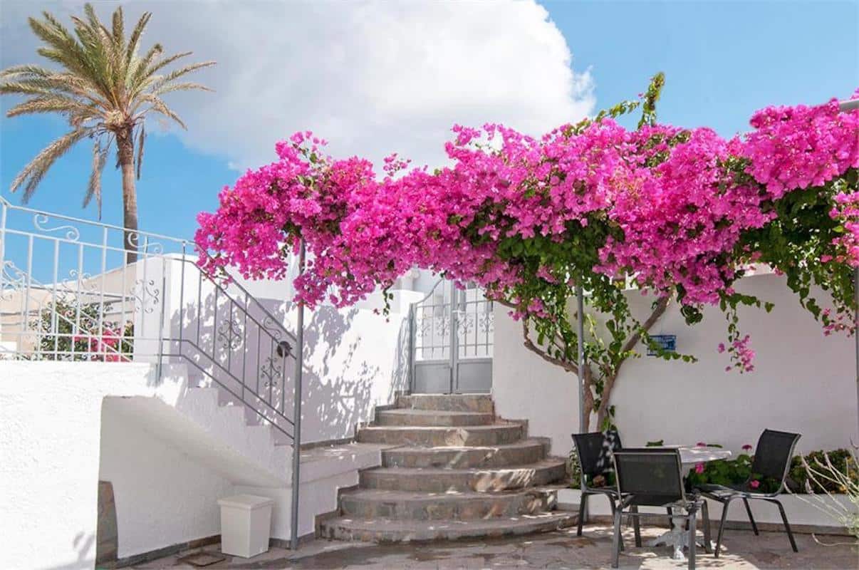 3 Big Villas for Sale in Santorini Messaria