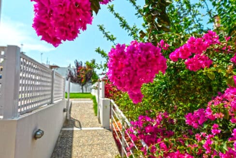 Villa of 5 Holiday apartments in Crete. Properties in Crete. Business in Crete 11