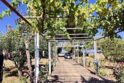 Beachfront House in Evia 8