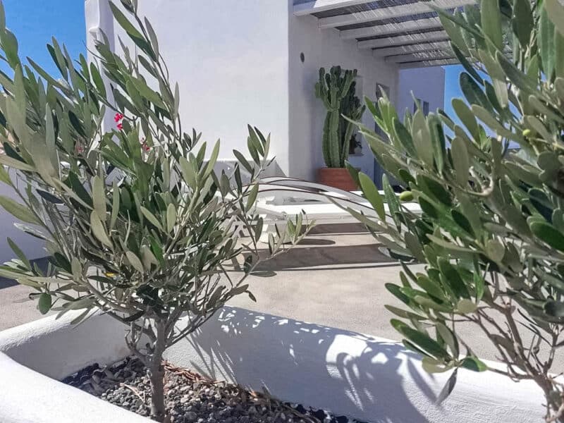 Grande villa en bord de mer à Baxedes Santorin in 36.475444981412,25.412362805957,14