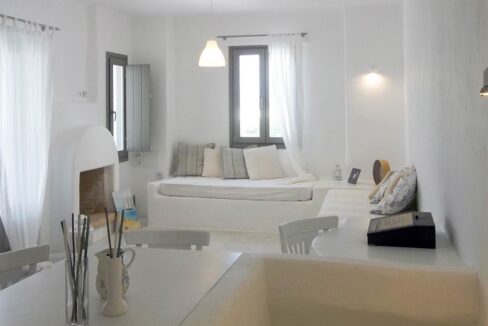 Houses and 3 Studios in Santa Maria, Paros, by the sea 13