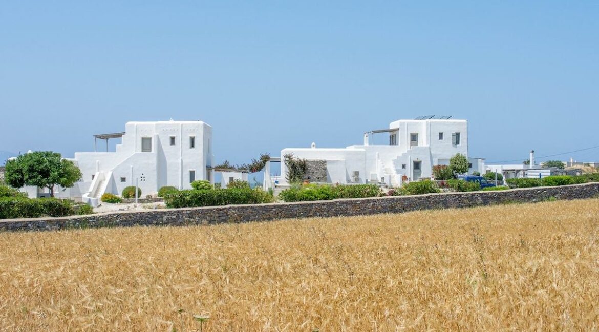 Houses and 3 Studios in Santa Maria, Paros, by the sea 2