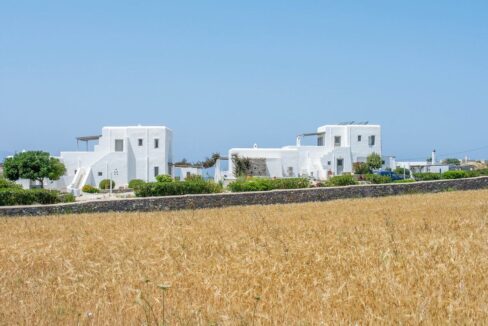 Houses and 3 Studios in Santa Maria, Paros, by the sea 2