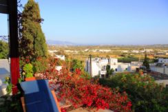 Apartments Hotel in Naxos Greece 4