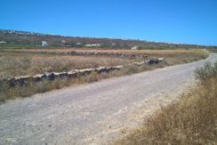 Land To built near Oia in Santorini, Baxedes area3