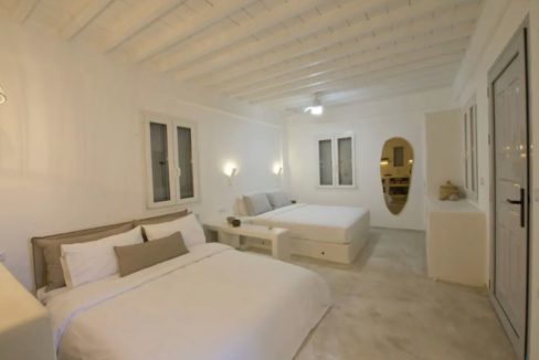 Small Villa near Super Paradise Beach - Ideal for EU Golden Visa 8
