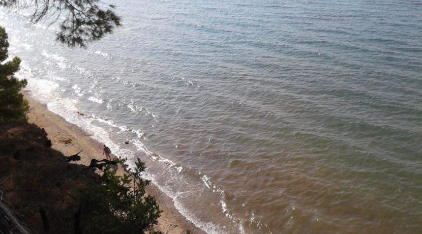 Nikiti beachfront villa 1