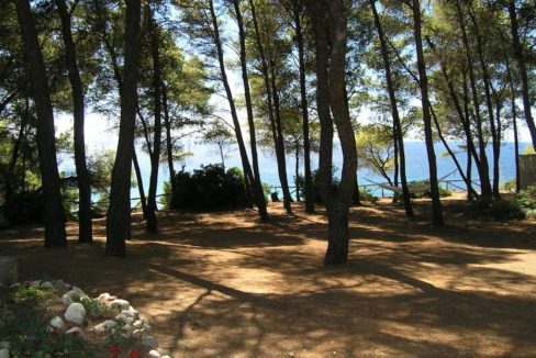 Nikiti beachfront villa 14