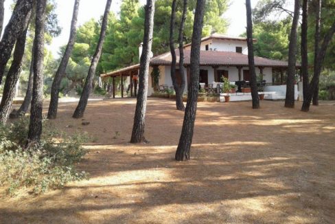 Nikiti beachfront villa 2