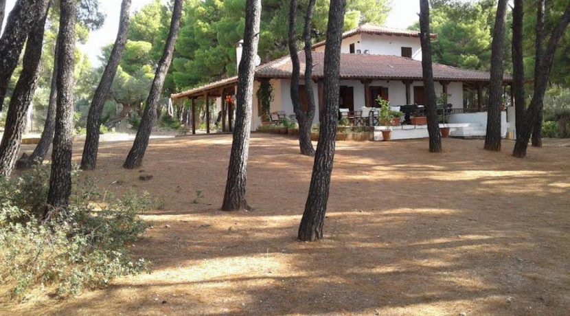 Nikiti beachfront villa 2