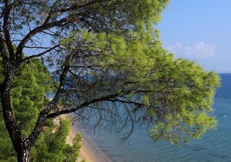 Nikiti beachfront villa 21