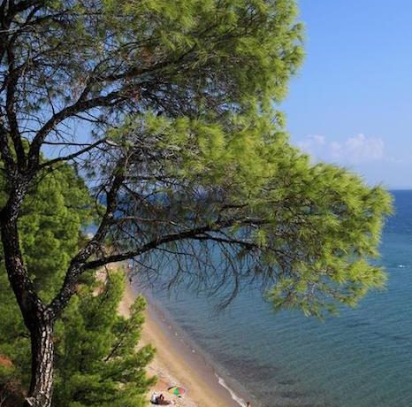 Nikiti beachfront villa 21
