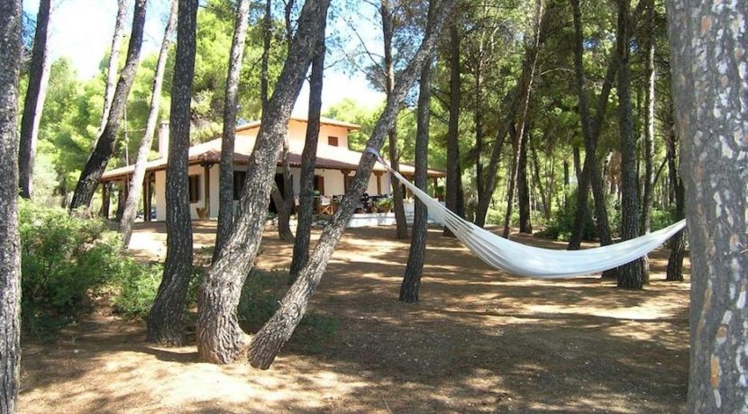 Nikiti beachfront villa 5