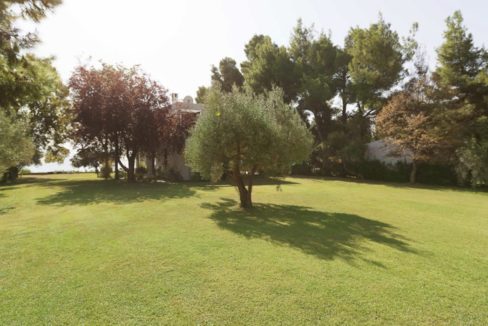 Seafront Property at Nikiti Halkidiki 29