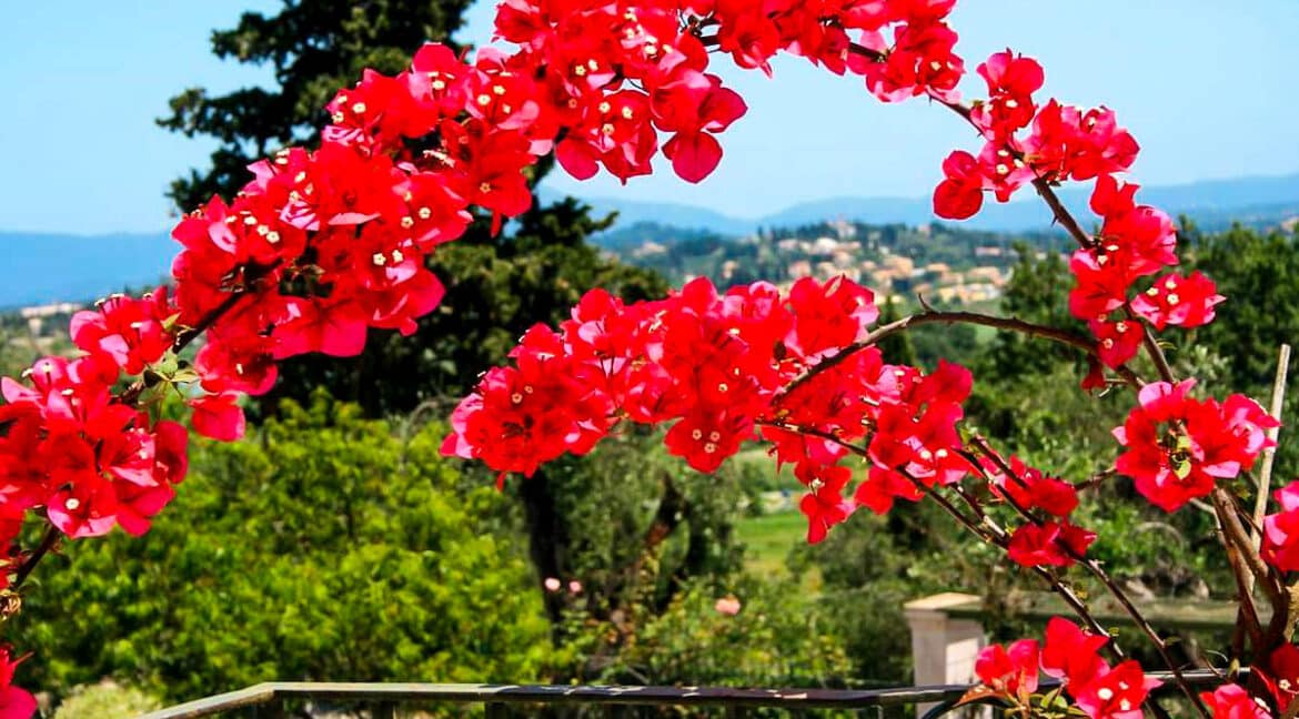 Classical Villa in Corfu, Perama, Houses for Sale in Corfu 8