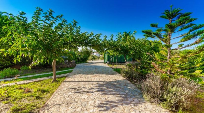 Villa in Skiathos Island Greece 11