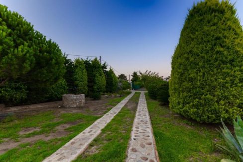 Villa in Skiathos Island Greece 14