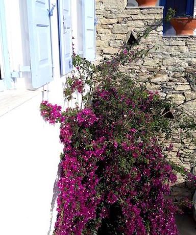 Sea View Cottage Cyclades Greece, Tinos Island. Cyclades property for sale, Greece property for sale by the beach, cheap house by the sea 6