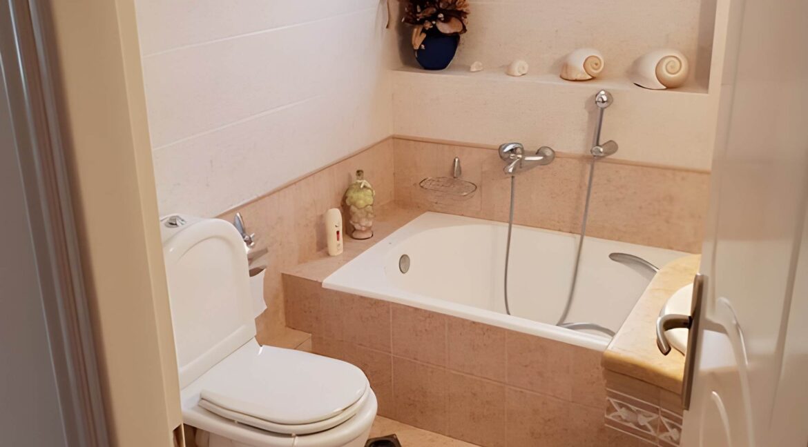 Excellent Villa by the sea near Athens, 30 minutes from Athens 4