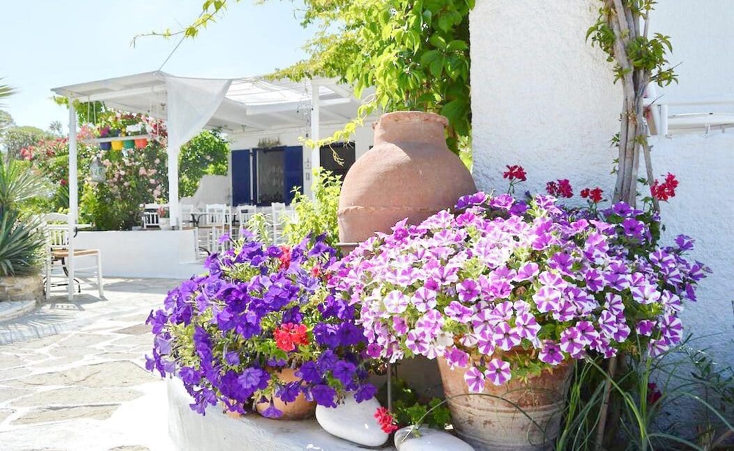 Apartments Hotel for Sale Paros, Small Hotel in Paros, Paros Investments, Paros island Greece, Buy Hotel in Paros 3