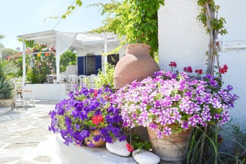 Apartments Hotel for Sale Paros, Small Hotel in Paros, Paros Investments, Paros island Greece, Buy Hotel in Paros 3