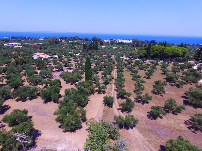 Seafront Land for Sale in Zakynthos, Vasilikos 2