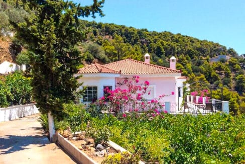 Seaview Villa poros Island, Near Athens, Greek Island Property for sale 22