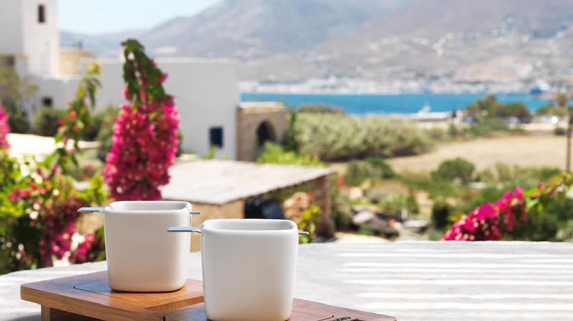 Stone Built Property Paros, Cyclades Greece 5