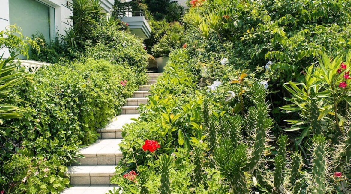 Villa in South Athens with Sea Views, Porto Rafti Villa for sale, Property in Greece, Real Estate Athens, Villas for Sale Athens 4