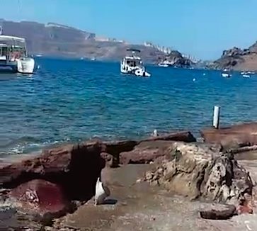 Seafront Property in Oia Santorini 3