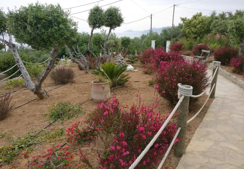 Property South Crete for sale 4