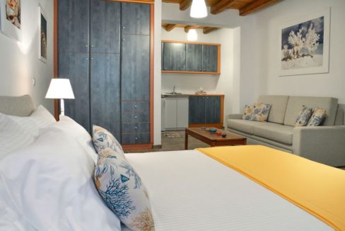 Villa for Sale Andros Cyclades Greece 3