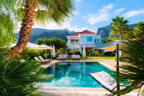 Villa for Sale Malia Crete, Property in Crete 40