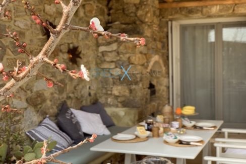 Apartment with Sea View in Mykonos, Suite for sale Mykonos 26