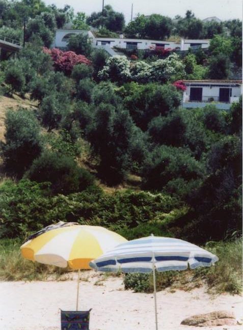 Property in Skiathos Greece for sale 14