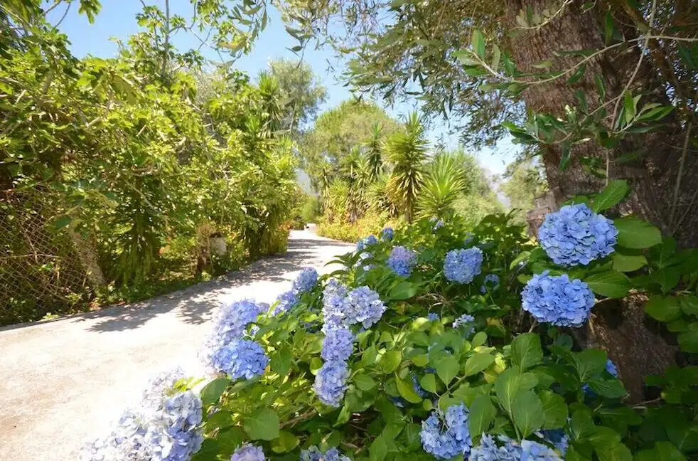 Corfu home, Property near the sea Corfu Island 3