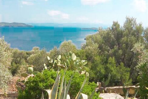 Villa near the sea Pounta Skiathos island, steps from the beach 13