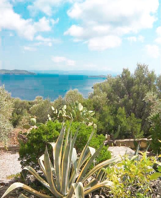 Villa near the sea Pounta Skiathos island, steps from the beach 13