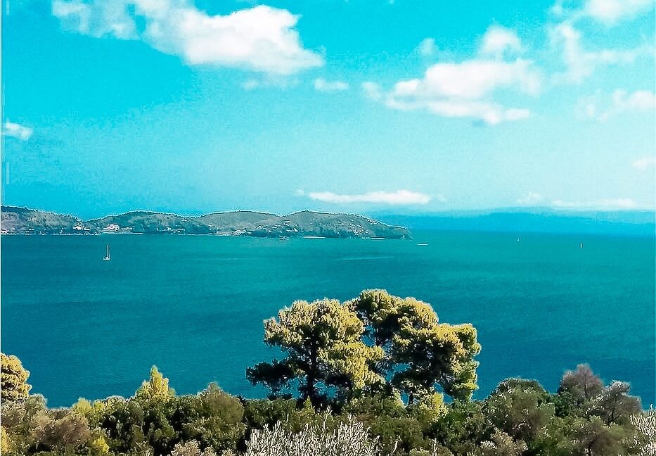 Villa near the sea Pounta Skiathos island, steps from the beach 6